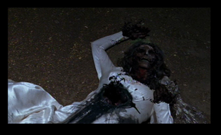 Illustration for article titled True Blood: Nice Night For A White Wedding